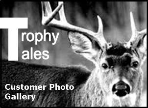 Photo Gallery
