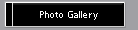 Photo Gallery